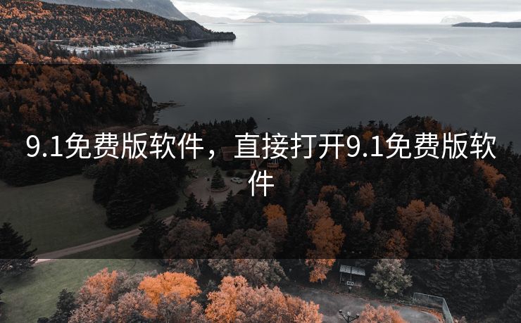 9.1免费版软件，直接打开9.1免费版软件