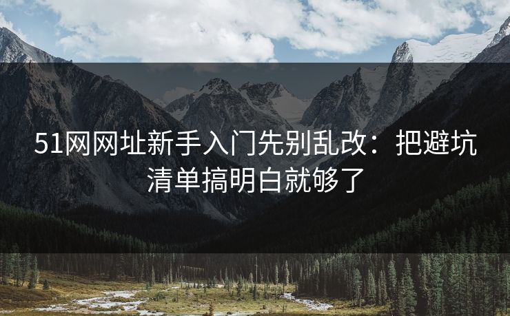51网网址新手入门先别乱改：把避坑清单搞明白就够了