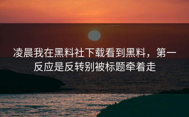 凌晨我在黑料社下载看到黑料，第一反应是反转别被标题牵着走