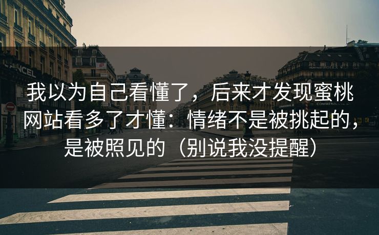 我以为自己看懂了，后来才发现蜜桃网站看多了才懂：情绪不是被挑起的，是被照见的（别说我没提醒）